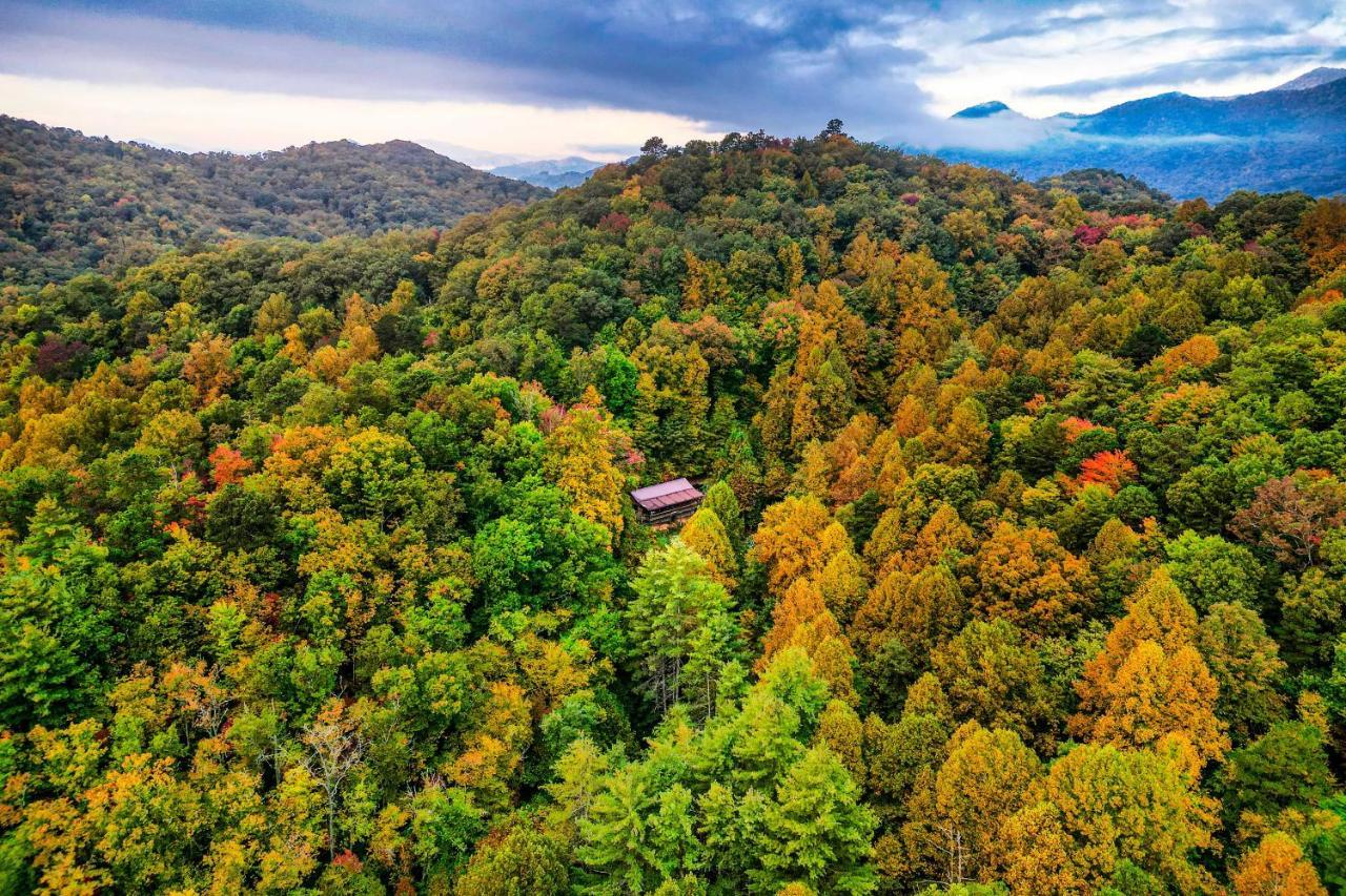 브라이슨시티 Brysons Hidden Valley Ranch - Quiet Nc Cabin! 빌라 외부 사진